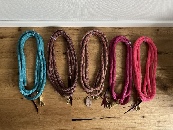 Führseil ,,Lead Rope'', Profi-Trainerqualität
